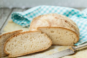 Pane senza glutine con lievito madre